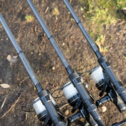 Daiwa Black Widow + Carp Rods